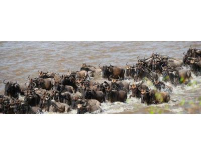 Plan Your 2026 African Safari with Extraordinary New Lodges