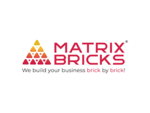 Grow Your Online Reach with Matrix Bricks Enterprise SEO Services