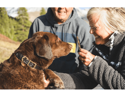 Dog Behaviorist Reno: Professional Support for Better Dog Behavior