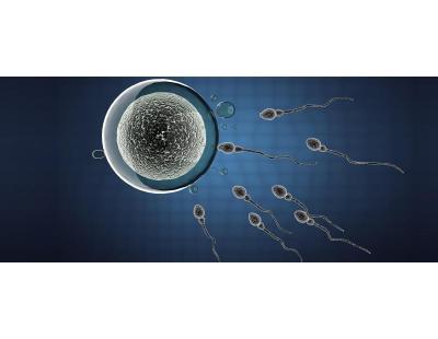 Get Expert Male Infertility Treatment in Delhi | Fertylity IVF