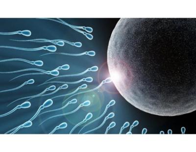 Effective Oligospermia Treatment in Delhi at Fertylity IVF
