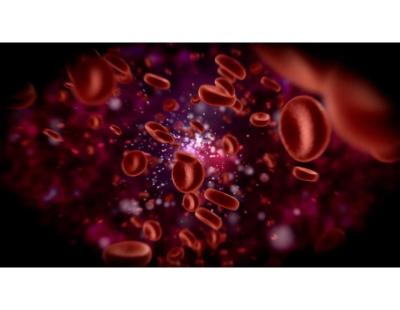 Expert Solutions for Blood Cancer Treatment in Noida