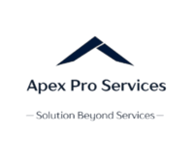 Apex pro services