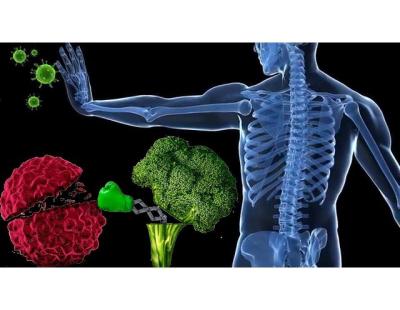 Targeted Immunotherapy Treatment in Noida by Experts