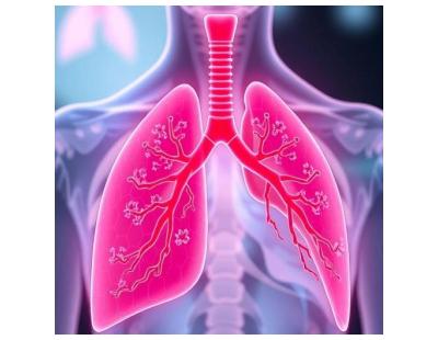 Comprehensive Best Lung Cancer Treatment in Noida Expert