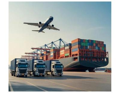 Looking for a Freight Forwarder in Australia | CFF Worldwide