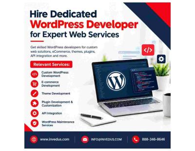 Hire Dedicated WordPress Developer for Reliable Web Support