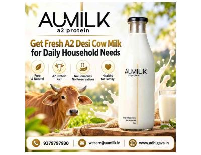 Get Fresh A2 Desi Cow Milk for Daily Household Needs