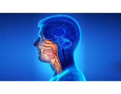 Specialized Head & Neck Cancer Treatment in Noida by Expert