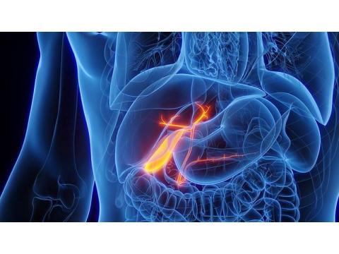 Modern GI Cancer Treatment in Noida with Expert Care