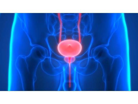 Hope & Healing Through Prostate Cancer Treatment in Noida