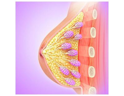 Compassionate Breast Cancer Treatment in Noida | Expert Care