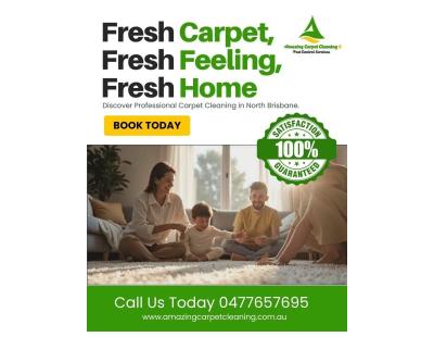 Professional Carpet Care for Homes and Offices