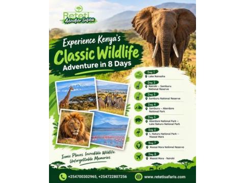 Experience Big Game Adventures Across East Africa