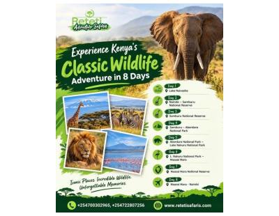 Experience Big Game Adventures Across East Africa