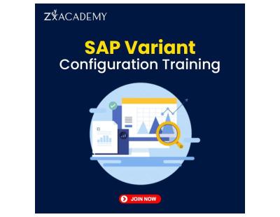 SAP Variant Configuration Training | Online Course | Zx Academy