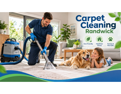Reliable Carpet Cleaning Support in Randwick