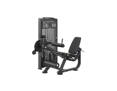 Buy Leg Extension Machine This Columbus Day for Your Gym