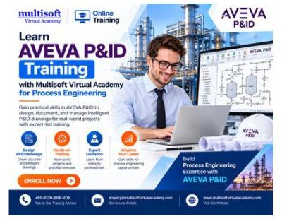 Learn AVEVA P&ID Training with Multisoft Virtual Academy for Process Engineering