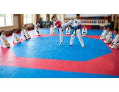Taekwondo Mats & Equipment | Gravolite