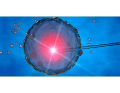 Explore Donor IVF Programme in Delhi at Fertylity IVF