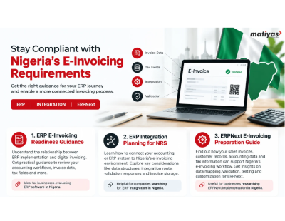 Inventory and Accounting Data Preparation for E-Invoicing