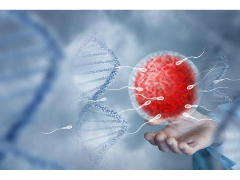 Quality Infertility Treatment in Delhi at Fertylity IVF