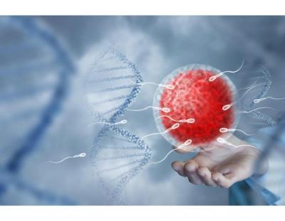 Quality Infertility Treatment in Delhi at Fertylity IVF