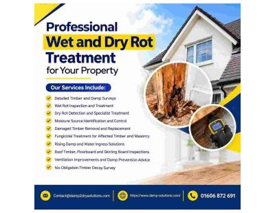 Reliable Wet and Dry Rot Treatment for Lasting Results