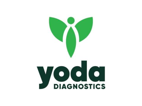 Book Blood Tests Online in Hyderabad | Mr. Yoda