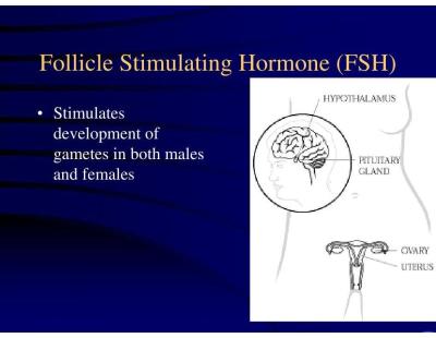 Follicle Hormone Test in Delhi with Expert Care | Fertylity IVF