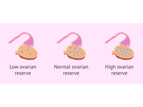 Ovarian Reserve Testing in Delhi | Personalized Fertility Care