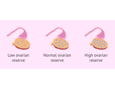 Ovarian Reserve Testing in Delhi | Personalized Fertility Care