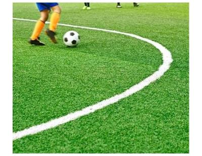 Best Sport Grass Perth for Football Fields and Training Areas