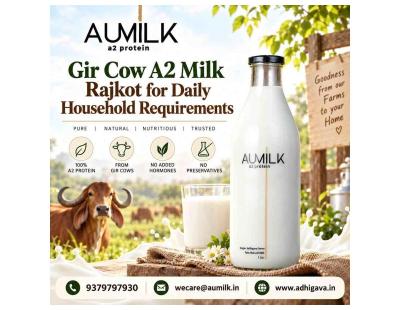Gir Cow A2 Milk Rajkot for Daily Household Requirements