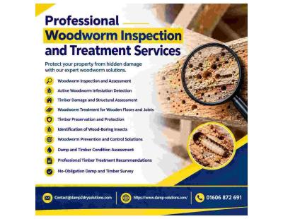 Effective Woodworm Treatment for Wooden Floors and Joists