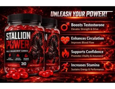 Stallion Power Gummies: A Complete Guide to Ingredients and Usage!