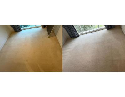 Professional Carpet Cleaning Melbourne CBD for Fresher Carpets