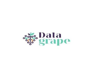 Data grape