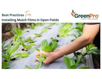 Agricultural Mulch Film Installation | Step-by-Step Techniques for Farmers