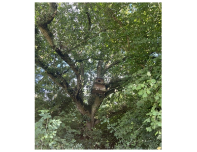 Southend Farm Wildlife Map