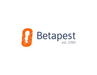 Professional Pest Control Haywards Heath for Homes and Businesses