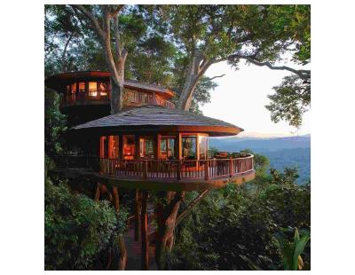 Book Kenya Wildlife Safari with Odyssey Travels Pune