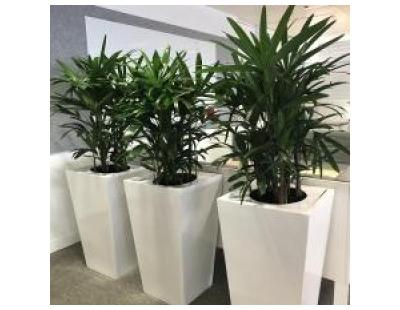 Quality Planters Melbourne for Homes and Gardens