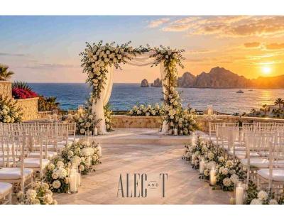 Find Luxury Wedding Venues in Los Cabos for Your Special Day
