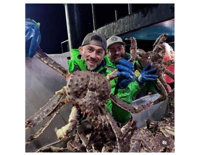 Live and Frozen King Crab for sale, Live/Frozen, RED King Crab, Alaskan King Crabs