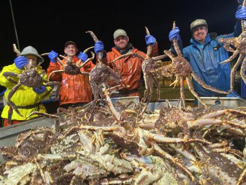 Live King Crab Premium Norwegian Red King Crab Supplier Fresh Live Seafood Export Bulk Europe