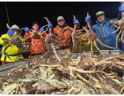Live King Crab Premium Norwegian Red King Crab Supplier Fresh Live Seafood Export Bulk Europe