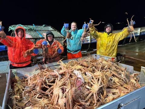 Live King Crab Premium Norwegian Red King Crab Supplier Fresh Live Seafood Export Bulk Europe - 2/2