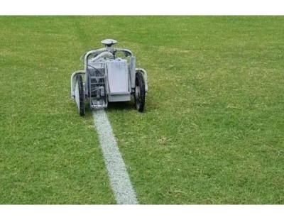 Sports Line Marking Brisbane | Book Your Team Today!
